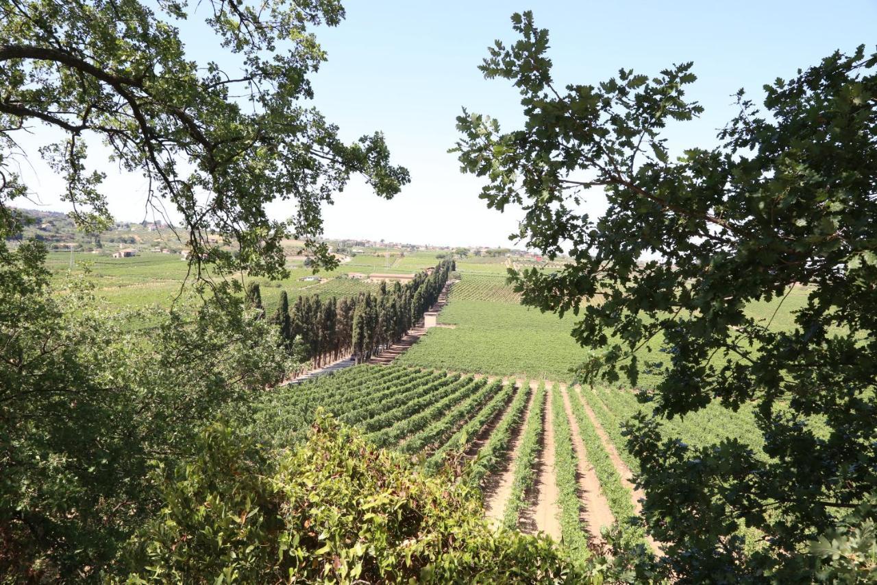 Tenuta Di Pietra Porzia Monte Porzio Catone Zewnętrze zdjęcie